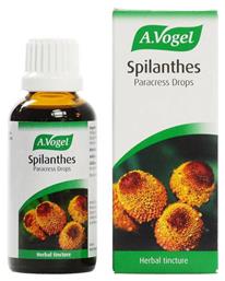 A.Vogel Spilanthes Σταγόνες 50ml από το Pharm24