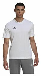 Adidas Entrada 22 T-shirt Λευκό από το MybrandShoes