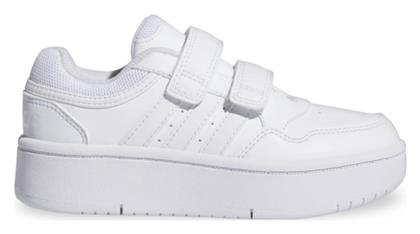 adidas Hoops Λευκά