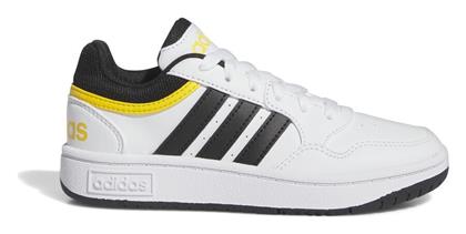 adidas Hoops White / Core / Bold Gold