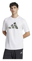 adidas T-shirt Λευκό
