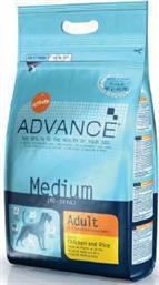 Affinity Medium Adult 3kg