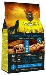 Ambrosia Lamb & Fresh Salmon Adult All Breeds 2kg Ξηρά Τροφή χωρίς Σιτηρά για Ενήλικους Σκύλους με Αρνί και Σολομό από το Plus4u