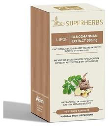 Amhes Nutraceuticals Glukomana Lipof 330mg 90 κάψουλες