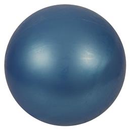 AMILA 47962 Μπάλα Ρυθμικής με Διάμετρο 16.5cm Μπλε