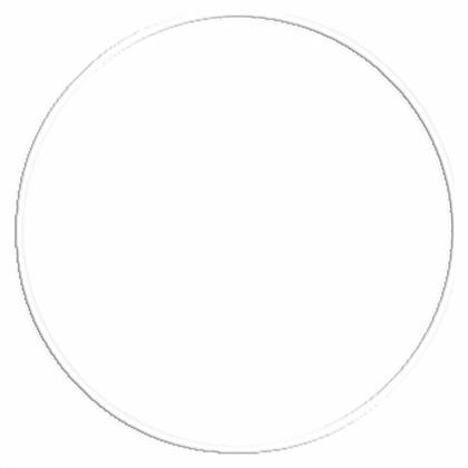 AMILA Στεφάνι Ρυθμικής με Διάμετρο 70cm Λευκό