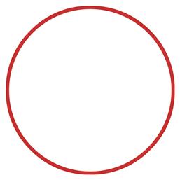 AMILA Στεφάνι Ρυθμικής με Διάμετρο 80cm Κόκκινο