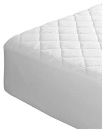 Anna Riska Aloe Vera