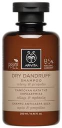 Apivita Dandruff Σαμπουάν Kατά της Πιτυρίδας & της Ξηροδερμίας 250ml