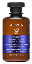 Apivita Men's Tonic Hippophae TC & Rosemary Σαμπουάν κατά της Τριχόπτωσης για Όλους τους Τύπους Μαλλιών 250ml από το Pharm24