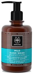 Apivita Mild Hand Wash Απαλό Καθαριστικό Χεριών με Γκρέιπφρουτ & Πρόπολη 300ml από το Pharm24