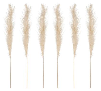 Atmosphera Τεχνητό Διακοσμητικό Κλαδί Pampas grass Λευκό 66cm 6τμχ