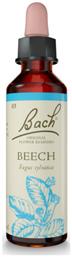 Bach Beech Ανθοΐαμα σε Σταγόνες 20ml