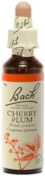 Bach Cherry Plum Ανθοΐαμα σε Σταγόνες για Χαλάρωση 20ml από το Pharm24