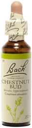 Bach Chestnut Bud Ανθοΐαμα σε Σταγόνες 20ml