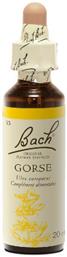 Bach Gorse Ανθοΐαμα σε Σταγόνες 20ml από το Pharm24