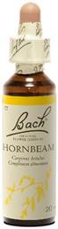 Bach Hornbeam Ανθοΐαμα σε Σταγόνες 20ml από το Pharm24