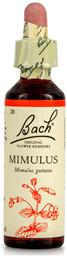 Bach Mimulus Ανθοΐαμα σε Σταγόνες για Χαλάρωση 20ml