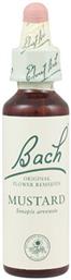 Bach Mustard Ανθοΐαμα σε Σταγόνες 20ml από το Pharm24