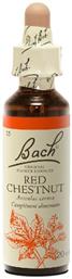 Bach Red Chestnut Ανθοΐαμα σε Σταγόνες για Χαλάρωση