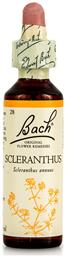 Bach Scleranthus Ανθοΐαμα σε Σταγόνες 20ml από το Pharm24