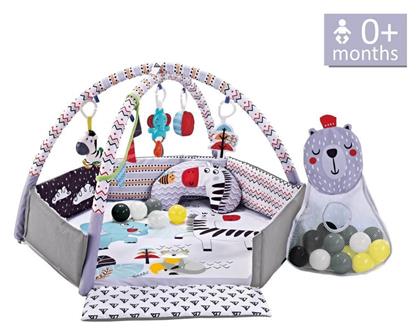 Bebe Stars Γυμναστήριο Δραστηριοτήτων Zebra Πολύχρωμο για Νεογέννητα (MxΠxΥ) 106x106x55cm