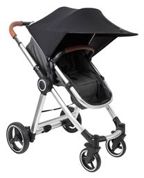 ΑΞΕΣΟΥΑΡ ΚΑΡΟΤΣΙΟΥ