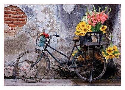 Bicycle With Flowers 2D 500pcs από το Plus4u