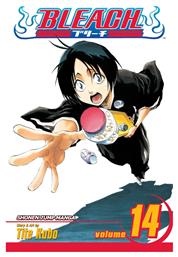 Bleach Vol. 14