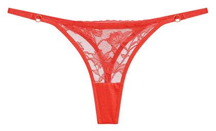 Celestino String με Δαντέλα