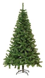 Δέντρο Majestic