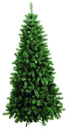 Δέντρο Παρνασσός