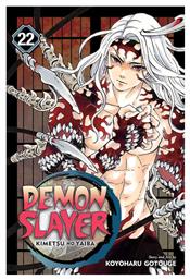 Demon Slayer, Kimetsu no Yaiba, Vol. 22