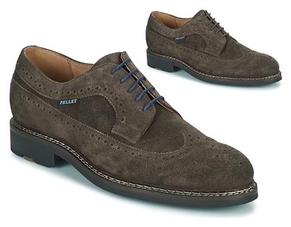 Derbies Pellet NORMAN