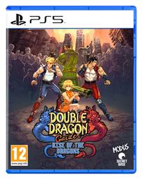 Double Dragon Gaiden: Rise of the Dragons