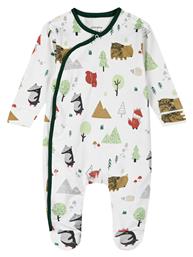 Energiers Φορμάκι Εμπριμέ