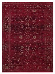 Ezzo Antika 6299AHH Χαλί Ορθογώνιο Burgundy