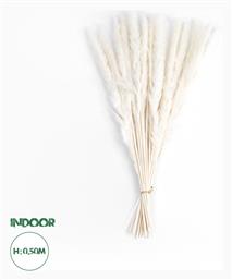 GloboStar Αποξηραμένο Φυτό Pampas grass Μπεζ 50cm