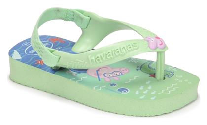 Havaianas Παιδικές Σαγιονάρες Flip Flops Peppa Pig Πράσινες από το Epapoutsia