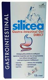 Hubner Silicea Gastro Intestinal Gel 12x15ml