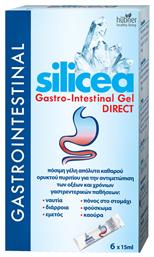 Hubner Silicea Gastro-Intestinal Gel DIRECT 6x15ml από το Pharm24