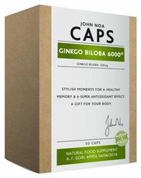 John Noa Ginkgo Biloba 6000 120mg 30 κάψουλες
