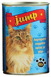 Jump Κονσέρβα Ψάρι 400gr από το Plus4u