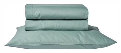 Kentia Essential με Λάστιχο