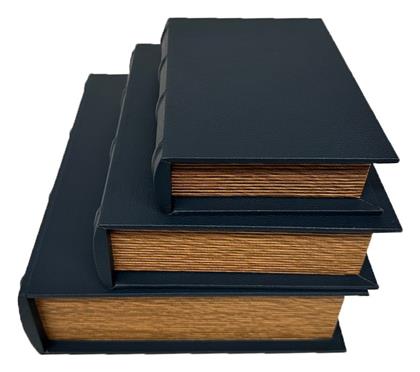 Κουτι Σετ3 Βιβλιο 27x22x7 22x17x5.5 17.5x12.5x4εκ Espiel Dwna1004