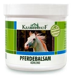 Krauterhof Αγριοκάστανο & Άρνικα Γέλη Κρυοθεραπείας για Μυϊκούς Πόνους & Αρθρώσεις 250ml