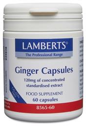 Lamberts Ginger 120mg 60 κάψουλες από το Pharm24