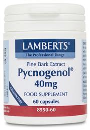 Lamberts Pycnogenol 40mg 60 κάψουλες από το Pharm24