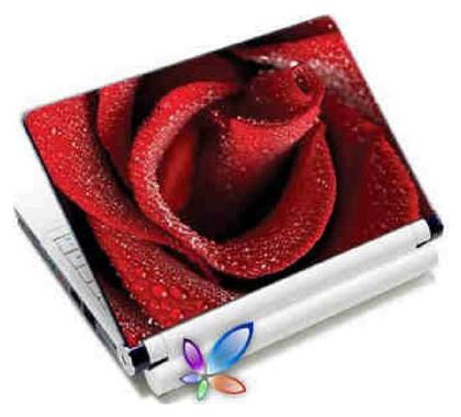 Lamtech Red Rose αυτοκόλλητο για Laptop 12.4'' Κόκκινο