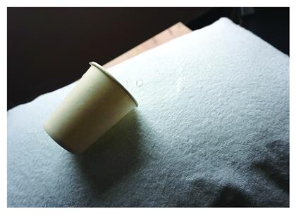Le Blanc Cotton Αδιάβροχα Σετ Προστατευτικά Μαξιλαριών Αδιάβροχα Καπιτονέ Λευκά 50x70cm 7313130-3